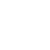 The American Orthodontic Society